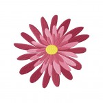 Blossom Stitched 5_5 Inch