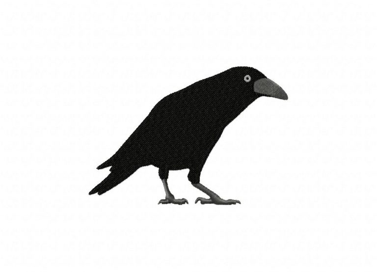 Raven embroidery design  daily embroidery