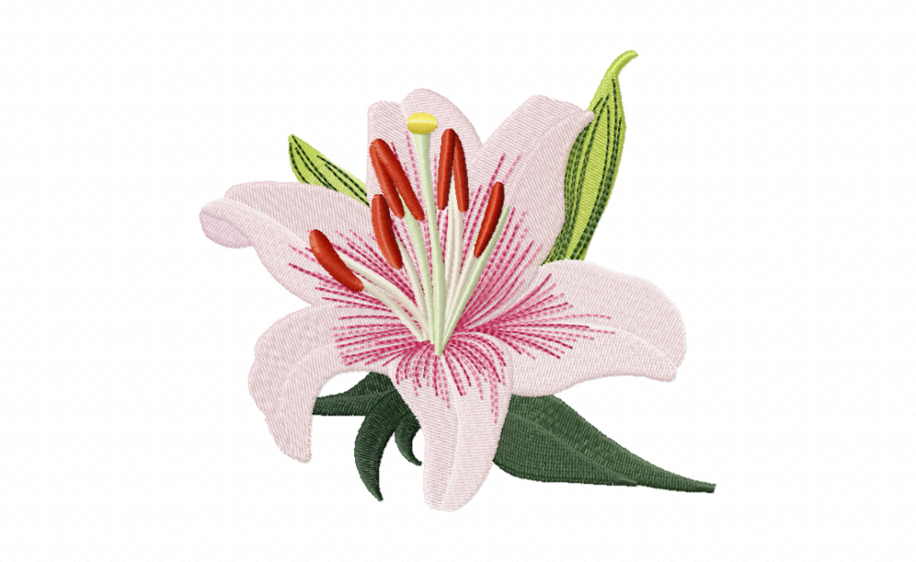 Beautiful Lily Stitched Embroidery Design Daily Embroidery