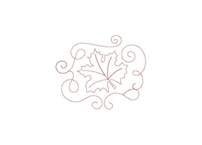 Todays Member Design
