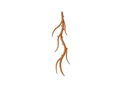 FREE Long Roots Stitched Embroidery Design